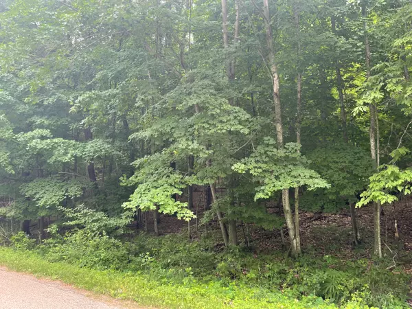 Lot 165 Black Forest Dr 