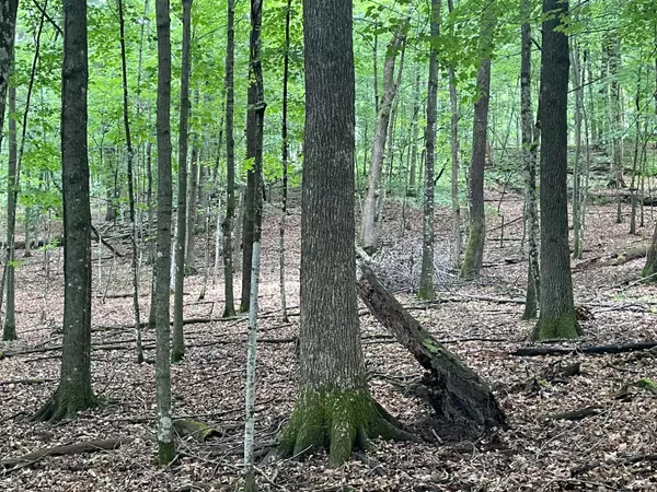 Lot 165 Black Forest Dr 