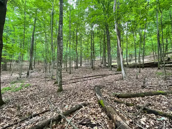 Lot 165 Black Forest Dr 