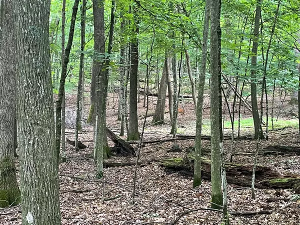 Lot 165 Black Forest Dr 