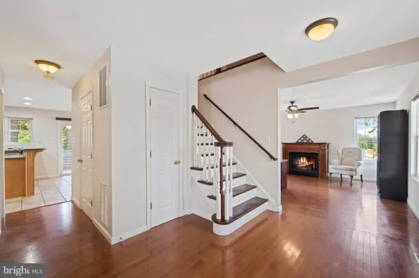 802 OX RD, Woodstock, VA 22664