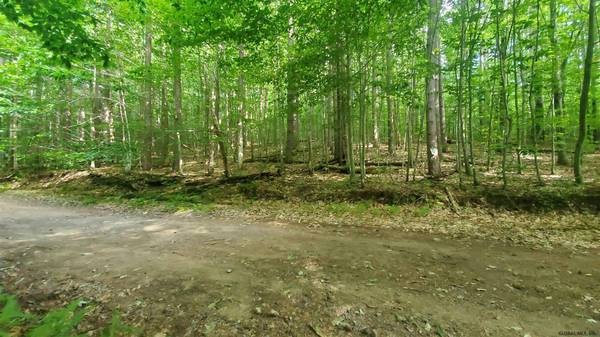 00 DONOVAN HILL RD # Donovan Rd, Salisbury, NY 13454