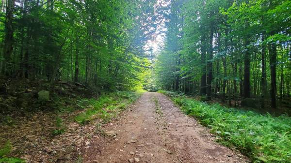 00 DONOVAN HILL RD # Donovan Rd, Salisbury, NY 13454