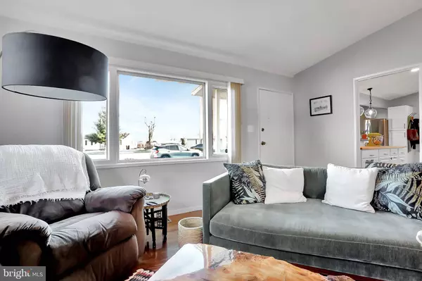 413 SHENANDOAH PL, Winchester, VA 22601