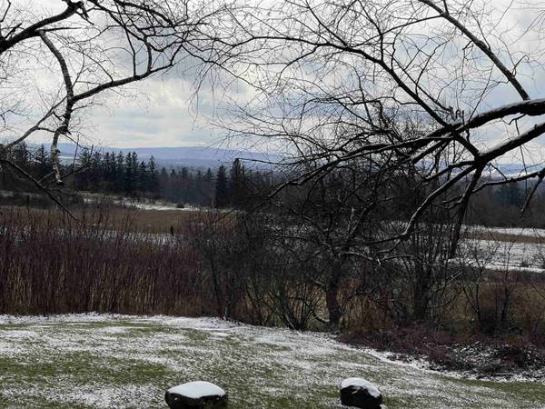 202 STEADWELL RD, Amsterdam, NY 12010