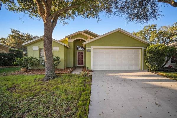 2033 WRANGLER DRIVE, Brandon, FL 33511