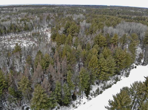 LOT 8 MIRROR VIEW LN, Rhinelander, WI 54501