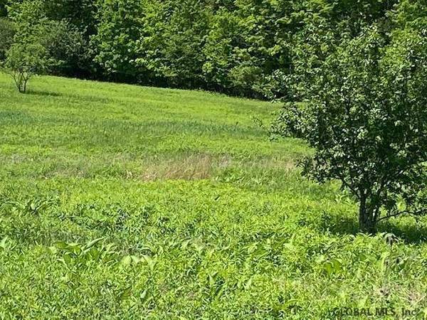 0000 BUTTON ST, Canajoharie, NY 13459