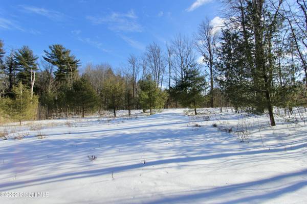 220 Nadler RD, Perth, NY 12010