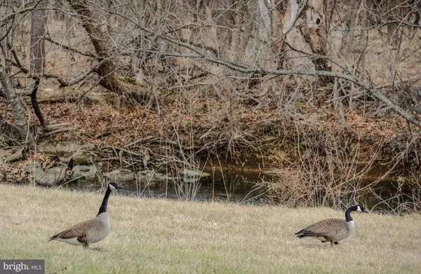 273 HENSHAW RD, Bunker Hill, WV 25413