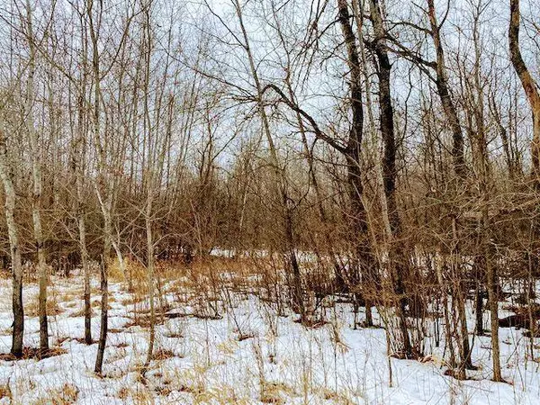 23xx 120th AVE, Braham, MN 55006