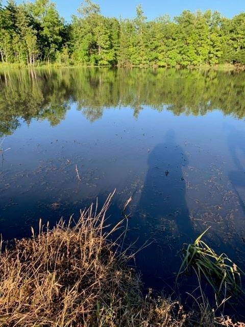 1500 County Road 250 LOOP, Cameron, TX 76520