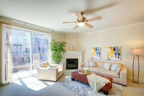 1789 Camino Leonor Dr