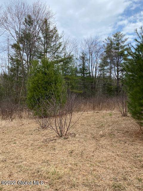 0 NYS Rte 29, Galway, NY 12074