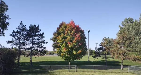 3511 Quarry AVE, Anoka, MN 55303