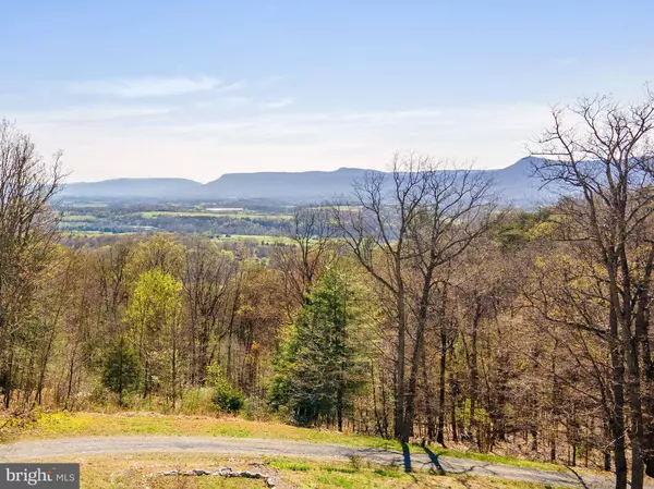 1812 RILEYVILLE RD, Rileyville, VA 22650