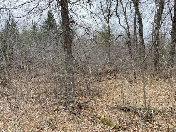 TBD 225th AVE NW, Elk River, MN 55330