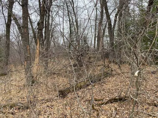 TBD 225th AVE NW, Elk River, MN 55330