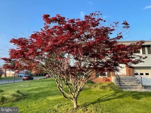 311 S FREEMAN ST, Robesonia, PA 19551