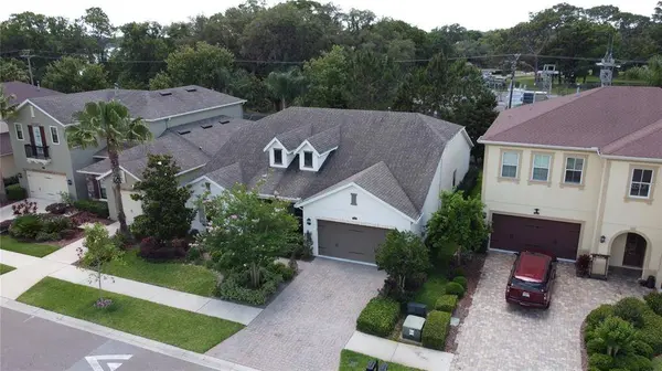 14229 AVON FARMS DR, Tampa, FL 33618