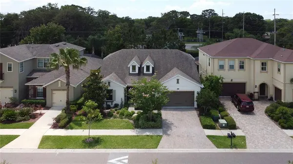 14229 AVON FARMS DR, Tampa, FL 33618