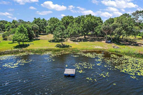 15829 WILSON PARRISH RD, Umatilla, FL 32784