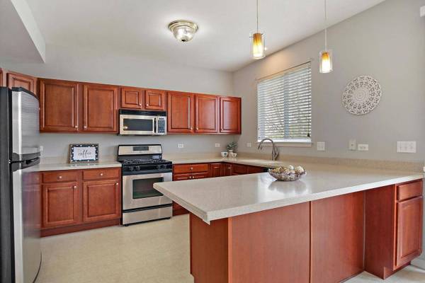 1522 W Remington LN, Round Lake, IL 60073