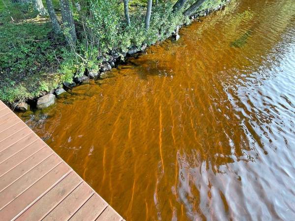 874 WATERMELON RD, Three Lakes, WI 54562