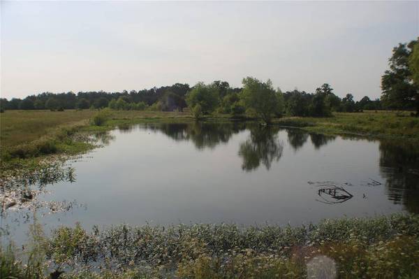 744 Round Prairie RD, Bedias, TX 77831