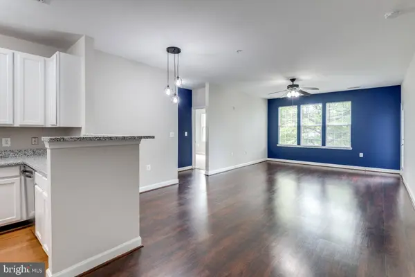 22607 BLUE ELDER TER #203, Brambleton, VA 20148