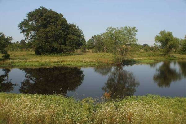 744 Round Prairie RD, Bedias, TX 77831