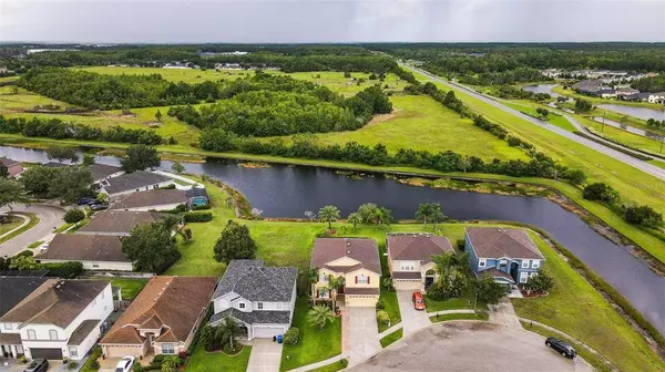 3855 OLDE LANARK DR, Land O Lakes, FL 34638