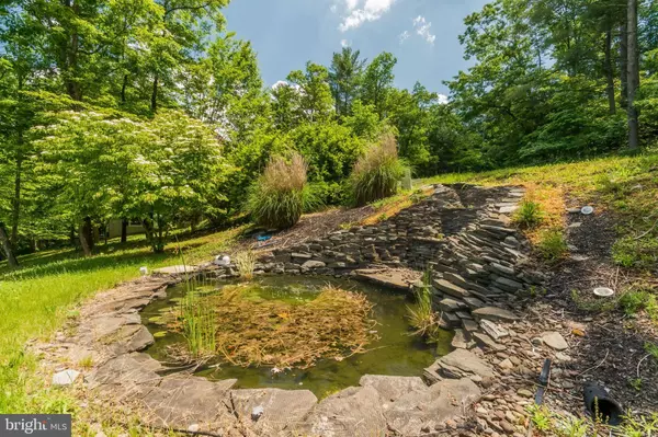 5630 CROOKED RUN RD, Mount Jackson, VA 22842