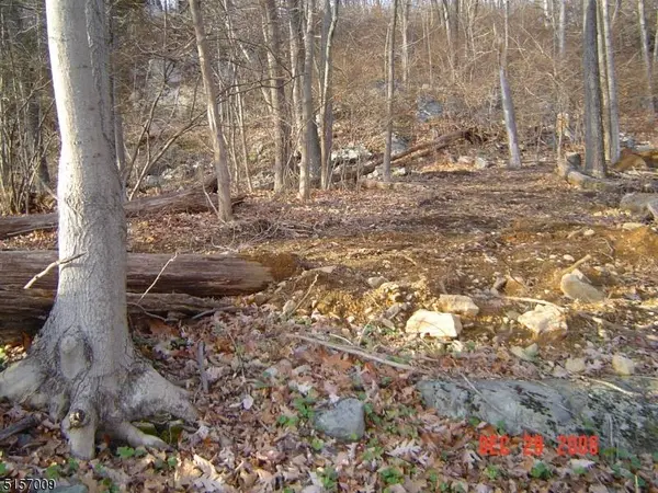 43 Hemlock Ave, Andover Twp., NJ 07860