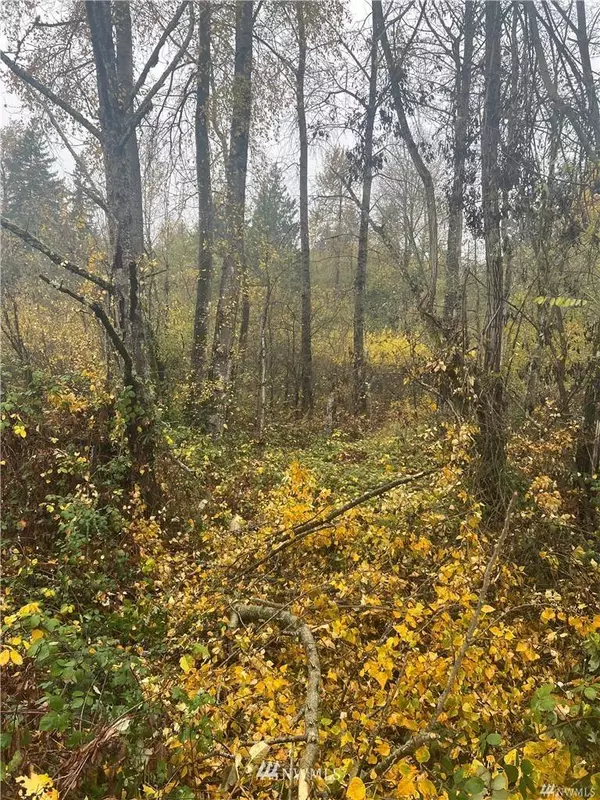 0 Canyon RD E, Puyallup, WA 98373