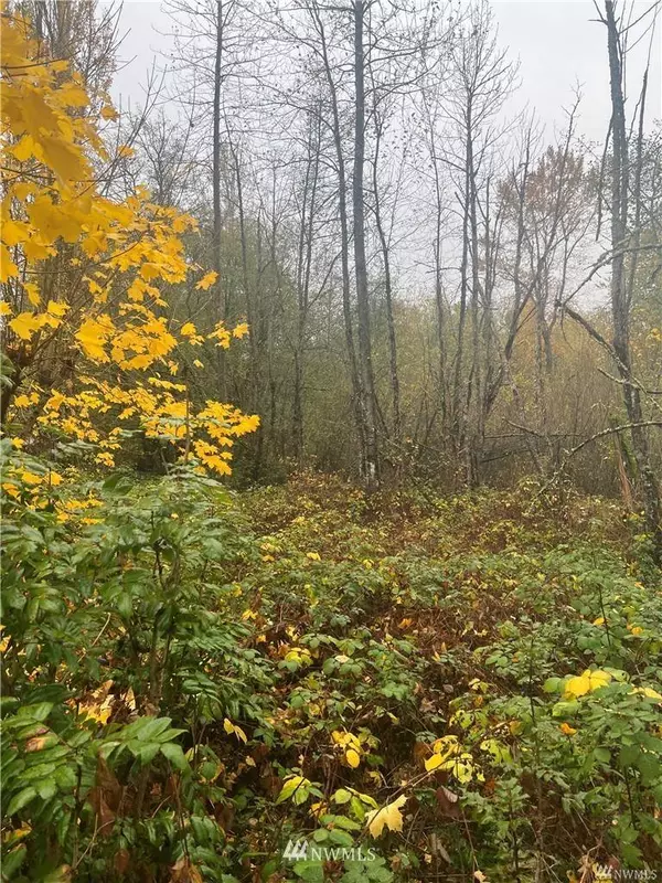 0 Canyon RD E, Puyallup, WA 98373