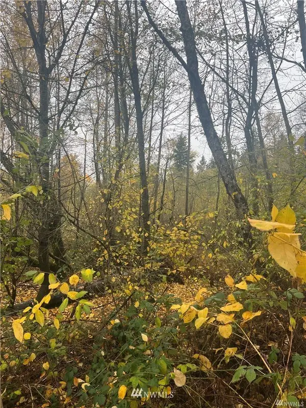 0 Canyon RD E, Puyallup, WA 98373