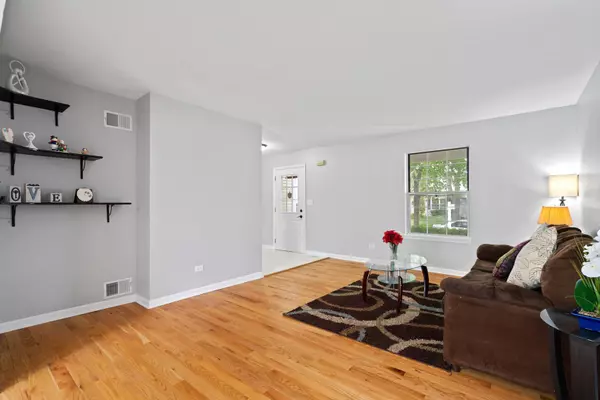 313 Richard CT, Vernon Hills, IL 60061