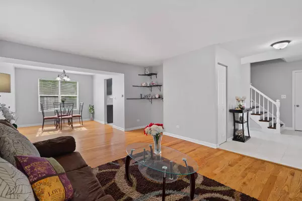 313 Richard CT, Vernon Hills, IL 60061