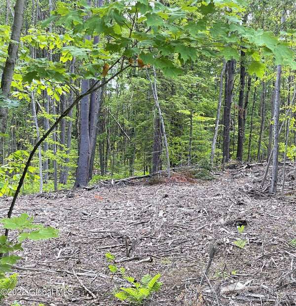 356 S Southline  RD, Galway, NY 12074