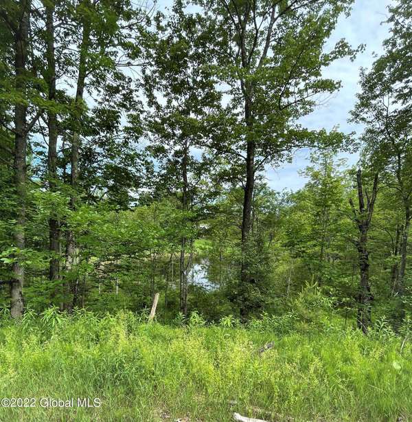 356 S Southline RD, Galway, NY 12074