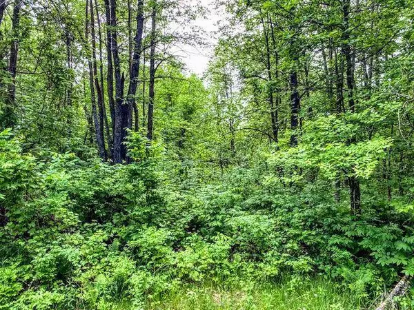 TBD 378th LN, Aitkin, MN 56431