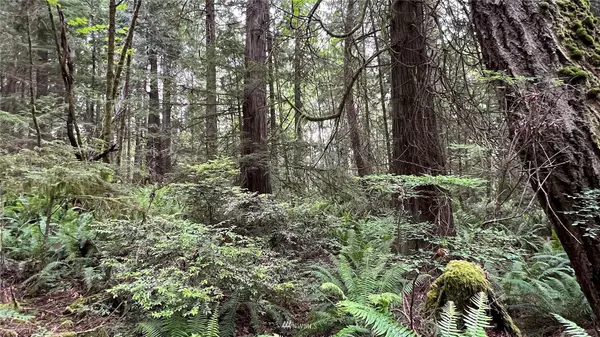 0 NE Anna RD, Poulsbo, WA 98370