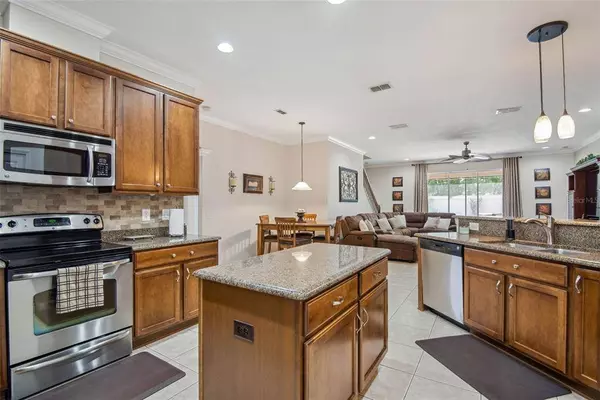 3910 OLDE LANARK DR, Land O Lakes, FL 34638