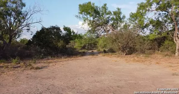 4856 State Highway 173, Bigfoot, TX 78005