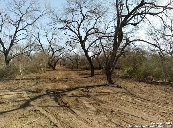 4856 State Highway 173, Bigfoot, TX 78005