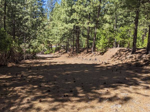 0 0 Wildrose Dr, Grizzly Flats, CA 95636