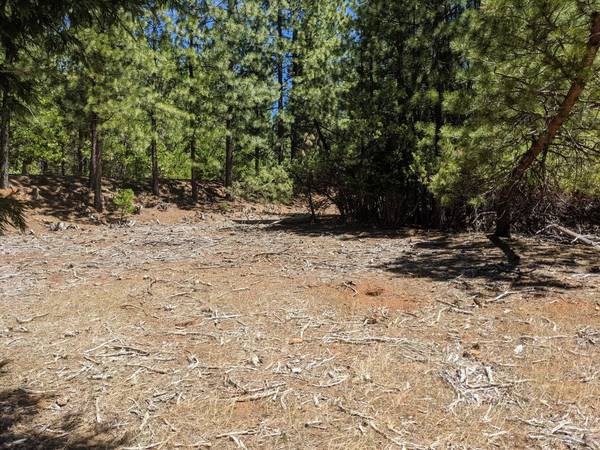 0 0 Wildrose Dr, Grizzly Flats, CA 95636