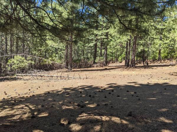 0 0 Wildrose Dr, Grizzly Flats, CA 95636