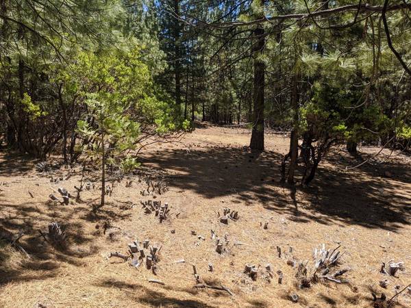 0 0 Wildrose Dr, Grizzly Flats, CA 95636